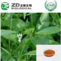 Sex Free Chinese Total Lactone content 5%~30% in Andrographis Paniculata Extract